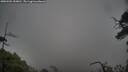 ./images/calvert/fitz-hugh-hecate/20250502/fitz-hugh-hecate20250502_150011M.jpg