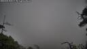 ./images/calvert/fitz-hugh-hecate/20250502/fitz-hugh-hecate20250502_150509M.jpg