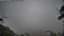 ./images/calvert/fitz-hugh-hecate/20250502/fitz-hugh-hecate20250502_151010M.jpg