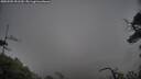 ./images/calvert/fitz-hugh-hecate/20250502/fitz-hugh-hecate20250502_151509M.jpg