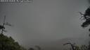 ./images/calvert/fitz-hugh-hecate/20250502/fitz-hugh-hecate20250502_152009M.jpg