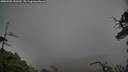 ./images/calvert/fitz-hugh-hecate/20250502/fitz-hugh-hecate20250502_152509M.jpg