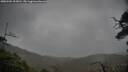 ./images/calvert/fitz-hugh-hecate/20250502/fitz-hugh-hecate20250502_153010M.jpg