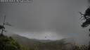 ./images/calvert/fitz-hugh-hecate/20250502/fitz-hugh-hecate20250502_153508M.jpg