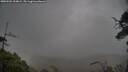 ./images/calvert/fitz-hugh-hecate/20250502/fitz-hugh-hecate20250502_154009M.jpg
