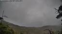 ./images/calvert/fitz-hugh-hecate/20250502/fitz-hugh-hecate20250502_154510M.jpg