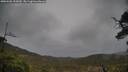 ./images/calvert/fitz-hugh-hecate/20250502/fitz-hugh-hecate20250502_155009M.jpg