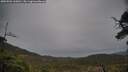 ./images/calvert/fitz-hugh-hecate/20250502/fitz-hugh-hecate20250502_160011M.jpg