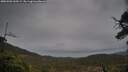 ./images/calvert/fitz-hugh-hecate/20250502/fitz-hugh-hecate20250502_160509M.jpg