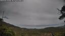 ./images/calvert/fitz-hugh-hecate/20250502/fitz-hugh-hecate20250502_161009M.jpg