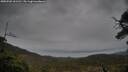 ./images/calvert/fitz-hugh-hecate/20250502/fitz-hugh-hecate20250502_161511M.jpg