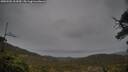 ./images/calvert/fitz-hugh-hecate/20250502/fitz-hugh-hecate20250502_162010M.jpg