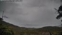 ./images/calvert/fitz-hugh-hecate/20250502/fitz-hugh-hecate20250502_162508M.jpg