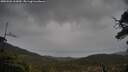 ./images/calvert/fitz-hugh-hecate/20250502/fitz-hugh-hecate20250502_163009M.jpg