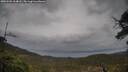 ./images/calvert/fitz-hugh-hecate/20250502/fitz-hugh-hecate20250502_164008M.jpg