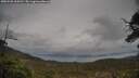 ./images/calvert/fitz-hugh-hecate/20250502/fitz-hugh-hecate20250502_164510M.jpg