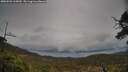 ./images/calvert/fitz-hugh-hecate/20250502/fitz-hugh-hecate20250502_165009M.jpg