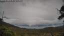 ./images/calvert/fitz-hugh-hecate/20250502/fitz-hugh-hecate20250502_165510M.jpg