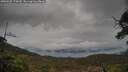 ./images/calvert/fitz-hugh-hecate/20250502/fitz-hugh-hecate20250502_170009M.jpg