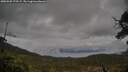./images/calvert/fitz-hugh-hecate/20250502/fitz-hugh-hecate20250502_170507M.jpg
