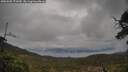 ./images/calvert/fitz-hugh-hecate/20250502/fitz-hugh-hecate20250502_171010M.jpg