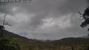 ./images/calvert/fitz-hugh-hecate/20250502/fitz-hugh-hecate20250502_171509M.jpg