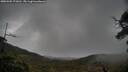 ./images/calvert/fitz-hugh-hecate/20250502/fitz-hugh-hecate20250502_172010M.jpg