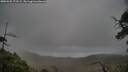 ./images/calvert/fitz-hugh-hecate/20250502/fitz-hugh-hecate20250502_172508M.jpg