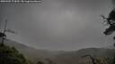 ./images/calvert/fitz-hugh-hecate/20250502/fitz-hugh-hecate20250502_173010M.jpg