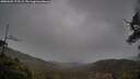 ./images/calvert/fitz-hugh-hecate/20250502/fitz-hugh-hecate20250502_173508M.jpg