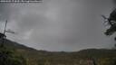 ./images/calvert/fitz-hugh-hecate/20250502/fitz-hugh-hecate20250502_174510M.jpg