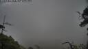 ./images/calvert/fitz-hugh-hecate/20250502/fitz-hugh-hecate20250502_175507M.jpg