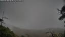 ./images/calvert/fitz-hugh-hecate/20250502/fitz-hugh-hecate20250502_180009M.jpg