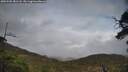 ./images/calvert/fitz-hugh-hecate/20250502/fitz-hugh-hecate20250502_181508M.jpg