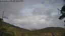 ./images/calvert/fitz-hugh-hecate/20250502/fitz-hugh-hecate20250502_182010M.jpg