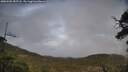 ./images/calvert/fitz-hugh-hecate/20250502/fitz-hugh-hecate20250502_182508M.jpg