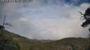 ./images/calvert/fitz-hugh-hecate/20250502/fitz-hugh-hecate20250502_183010M.jpg