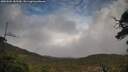 ./images/calvert/fitz-hugh-hecate/20250502/fitz-hugh-hecate20250502_183510M.jpg