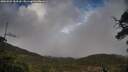 ./images/calvert/fitz-hugh-hecate/20250502/fitz-hugh-hecate20250502_184510M.jpg