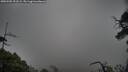 ./images/calvert/fitz-hugh-hecate/20250502/fitz-hugh-hecate20250502_191508M.jpg
