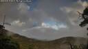 ./images/calvert/fitz-hugh-hecate/20250502/fitz-hugh-hecate20250502_193009M.jpg