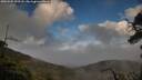 ./images/calvert/fitz-hugh-hecate/20250502/fitz-hugh-hecate20250502_193508M.jpg