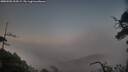 ./images/calvert/fitz-hugh-hecate/20250502/fitz-hugh-hecate20250502_210508M.jpg