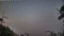 ./images/calvert/fitz-hugh-hecate/20250502/fitz-hugh-hecate20250502_211008M.jpg