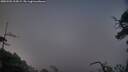 ./images/calvert/fitz-hugh-hecate/20250502/fitz-hugh-hecate20250502_212009M.jpg