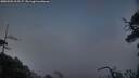 ./images/calvert/fitz-hugh-hecate/20250502/fitz-hugh-hecate20250502_212507M.jpg