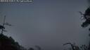./images/calvert/fitz-hugh-hecate/20250502/fitz-hugh-hecate20250502_213009M.jpg