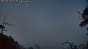 ./images/calvert/fitz-hugh-hecate/20250502/fitz-hugh-hecate20250502_213508M.jpg