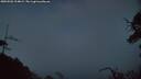 ./images/calvert/fitz-hugh-hecate/20250502/fitz-hugh-hecate20250502_214009M.jpg