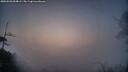 ./images/calvert/fitz-hugh-hecate/20250503/fitz-hugh-hecate20250503_054009M.jpg